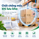 Chất chống mốc khi lưu kho: 7 cách bảo quản hàng hóa