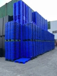 Pallet nhựa